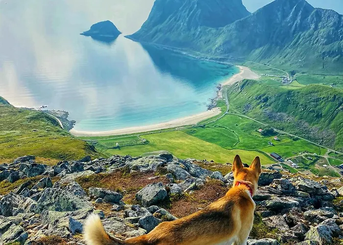 Nykmark - Eco House - Selva Konukevi *