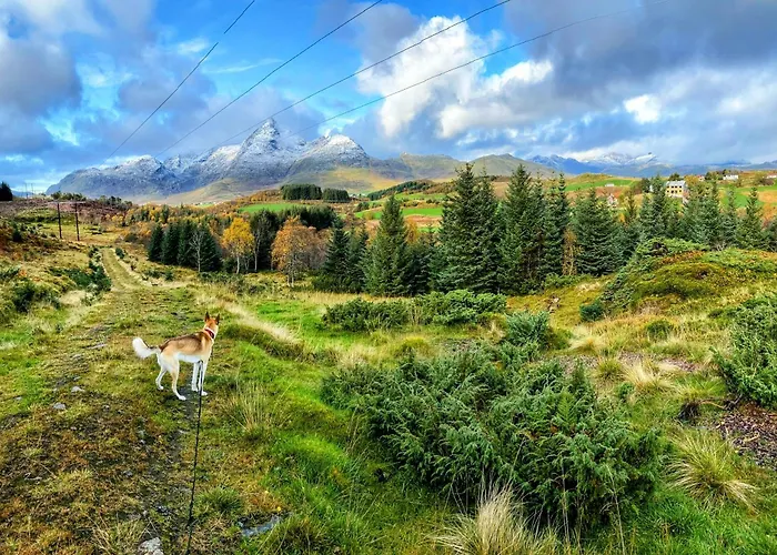 Konukevi Nykmark - Eco House - Selva *