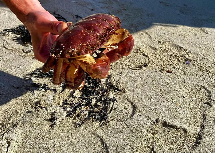 Nykmark - Eco House - Selva *